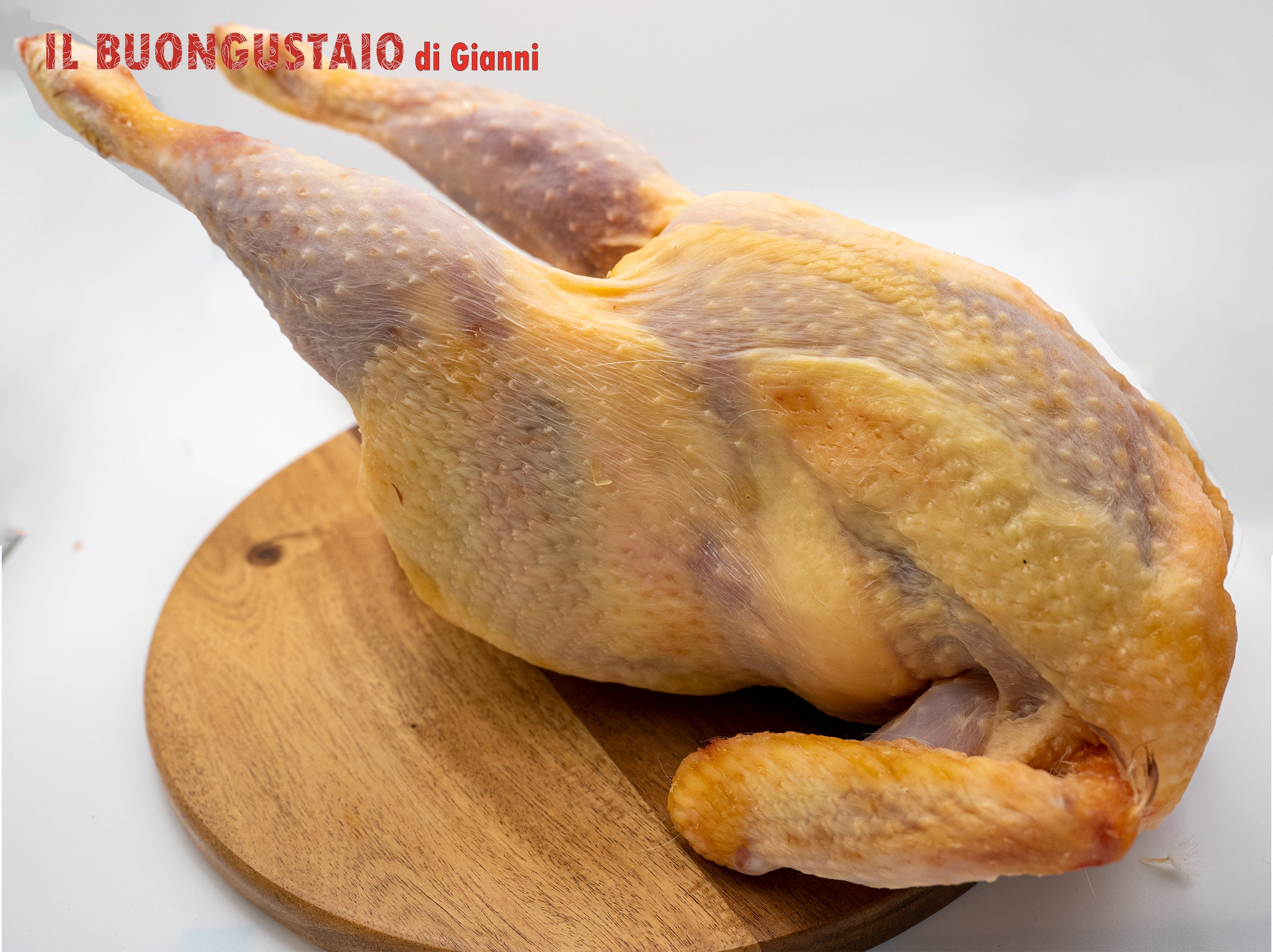 Gallina nostrana